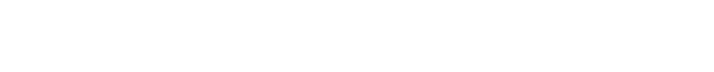 Possehl Digital Services